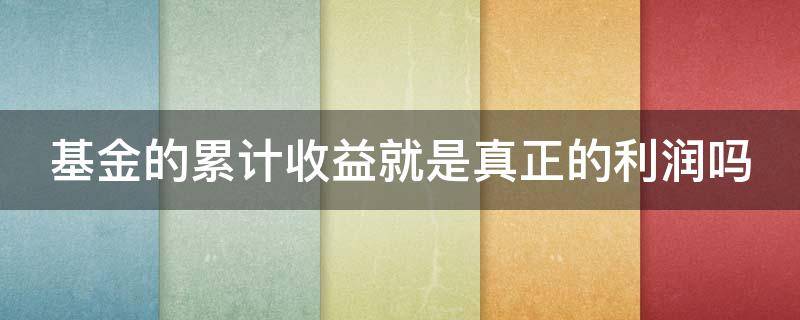 基金的累计收益就是真正的利润吗 基金累计收益是减去亏损的吗