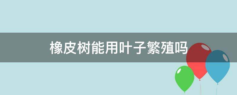 橡皮树能用叶子繁殖吗（橡皮树用一片叶子可以繁殖吗）