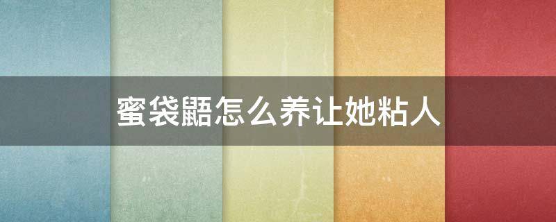 蜜袋鼯怎么养让她粘人 蜜袋鼯黏人不