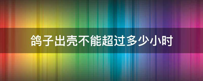 鸽子出壳不能超过多少小时 鸽子出壳要几个小时