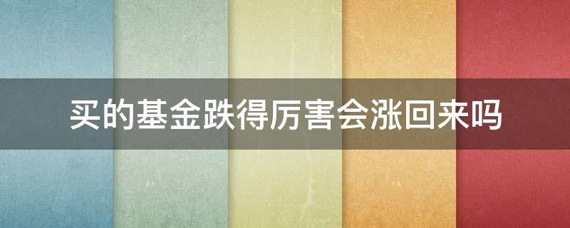 买的基金跌得厉害会涨回来吗（基金跌了再涨到买的时候是赚是亏）