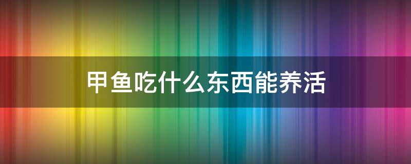 甲鱼吃什么东西能养活 野生甲鱼吃什么东西能养活