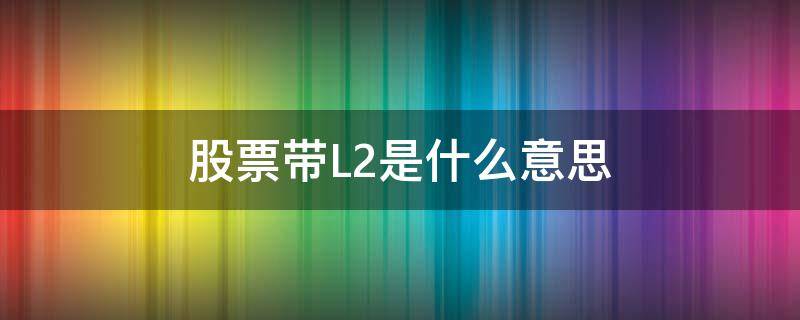 股票带L2是什么意思（股票l2有用吗）