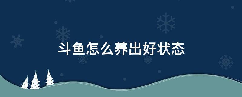 斗鱼怎么养出好状态（养斗鱼经验）