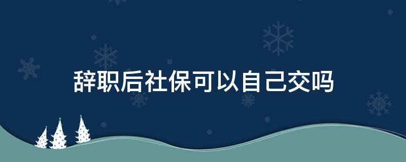 辞职后社保可以自己交吗 辞职后社保可以自己交吗算不算工龄