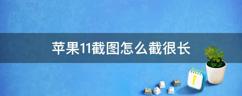 苹果11截图怎么截很长（苹果11如果长截图）