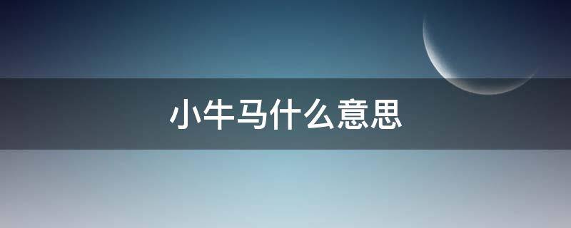 小牛马什么意思（网络小牛马什么意思）