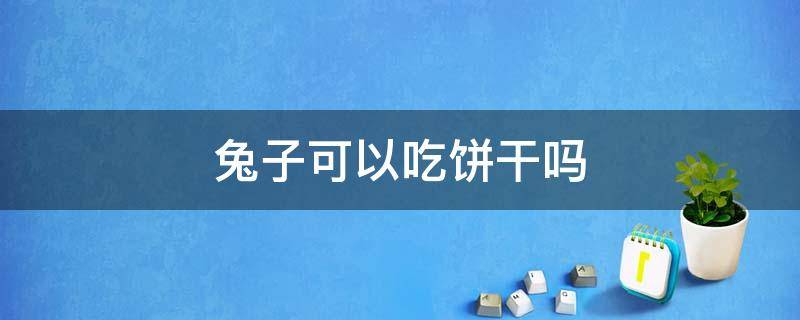 兔子可以吃饼干吗（兔子可以吃饼干不）