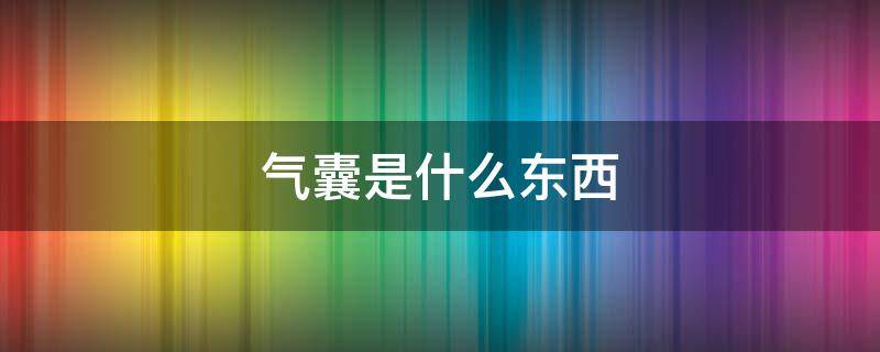 气囊是什么东西 人体气囊是什么东西