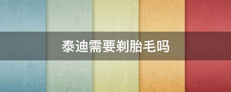 泰迪需要剃胎毛吗（三个月的泰迪需要剃胎毛吗）