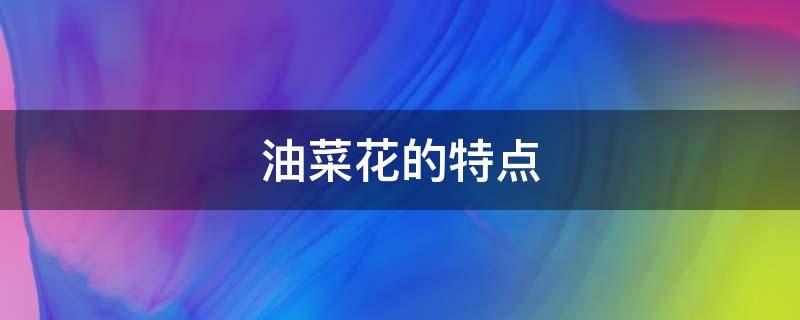 油菜花的特点（油菜花的特点和用途）