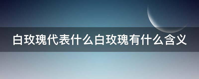 白玫瑰代表什么白玫瑰有什么含义