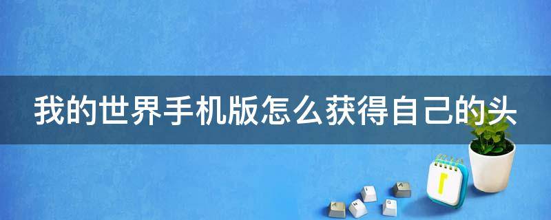 我的世界手机版怎么获得自己的头（我的世界手机版怎么获得自己的头盔）