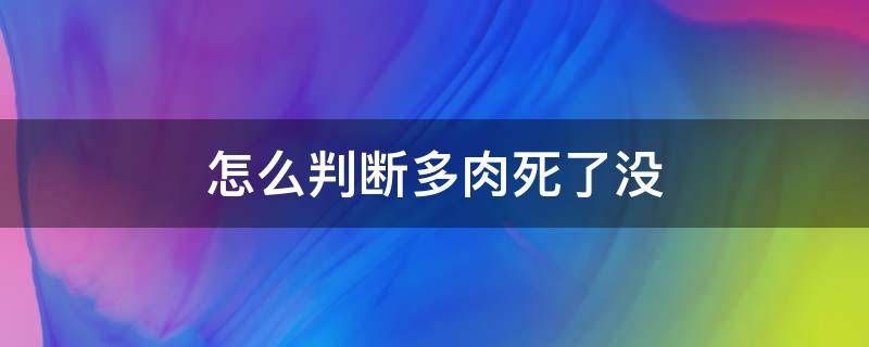怎么判断多肉死了没（多肉多久才能看出死了）