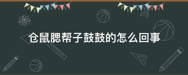 仓鼠腮帮子鼓鼓的怎么回事 仓鼠腮帮子鼓鼓的怎么回事,腰细