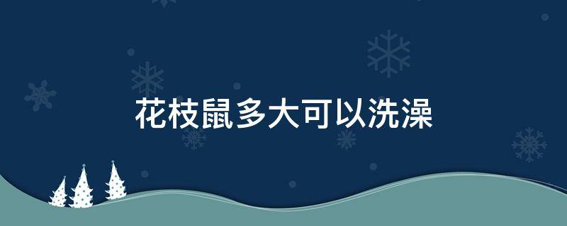 花枝鼠多大可以洗澡（花枝鼠几个月大可以洗澡）