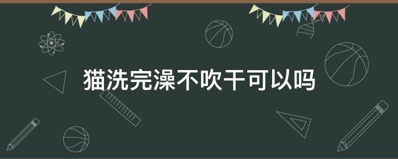 猫洗完澡不吹干可以吗 给猫洗完澡之后不吹干可以吗