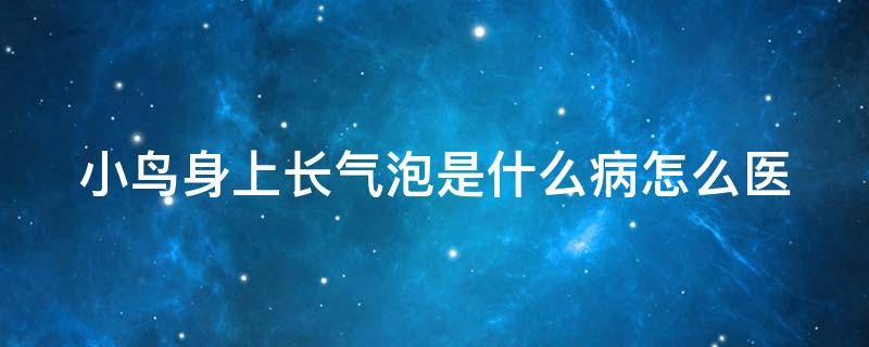 小鸟身上长气泡是什么病怎么医 小鸟身上起透明气泡是什么回事?