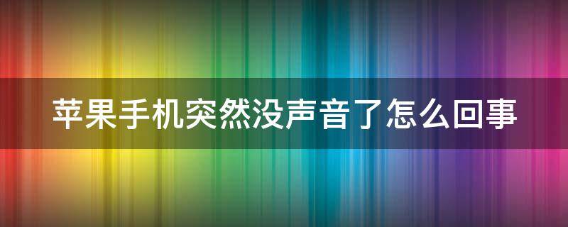 苹果手机突然没声音了怎么回事 苹果手机突然没声音了怎么回事 解决方法