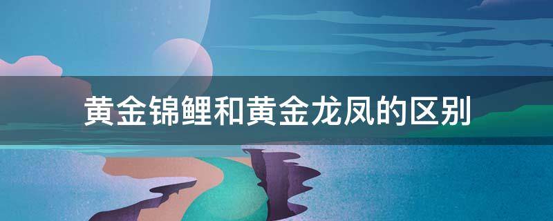 黄金锦鲤和黄金龙凤的区别（黄金锦鲤和黄金龙凤有什么区别）