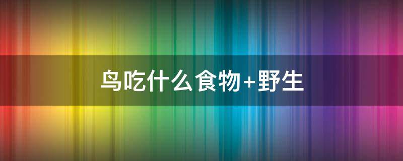 鸟吃什么食物（八哥鸟吃什么食物）