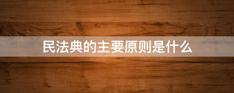 民法典的主要原则是什么 民法典的基本原则是什么