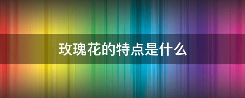 玫瑰花的特点是什么（自由玫瑰花的特点是什么）