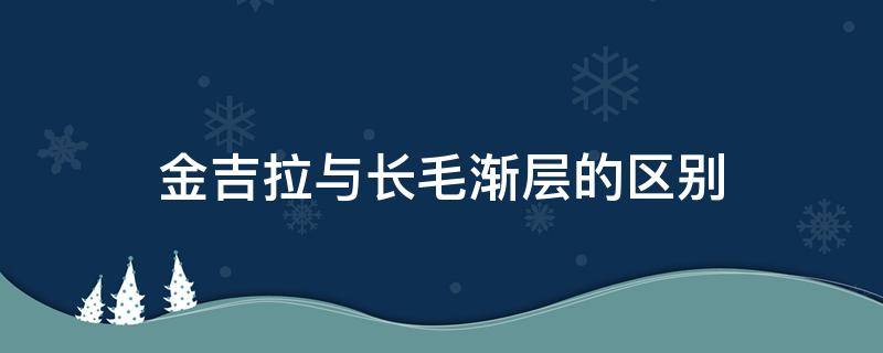 金吉拉与长毛渐层的区别 金吉拉和长毛渐层区别图