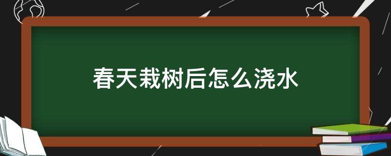 春天栽树后怎么浇水（移栽树春天怎么浇水）