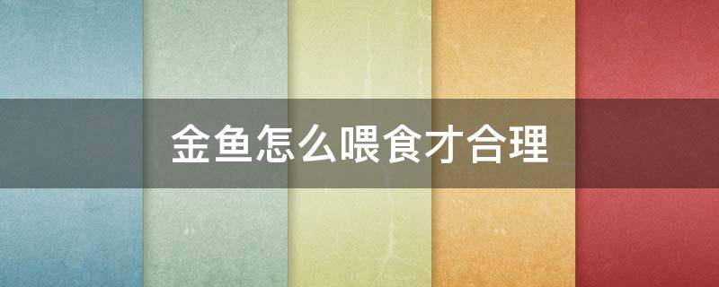 金鱼怎么喂食才合理 金鱼喂食的正确方法