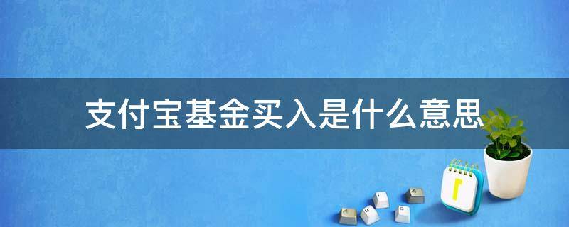 支付宝基金买入是什么意思 支付宝的基金买入是什么意思