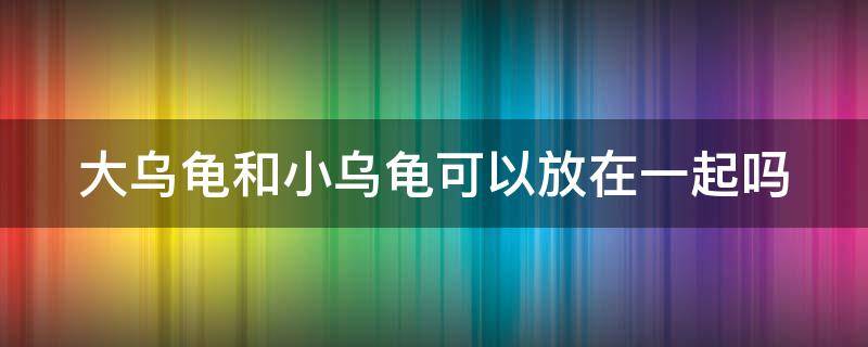 大乌龟和小乌龟可以放在一起吗 不宜养龟的4个属相