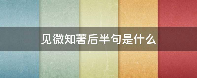 见微知著后半句是什么（见微知著后半句是什么意思）