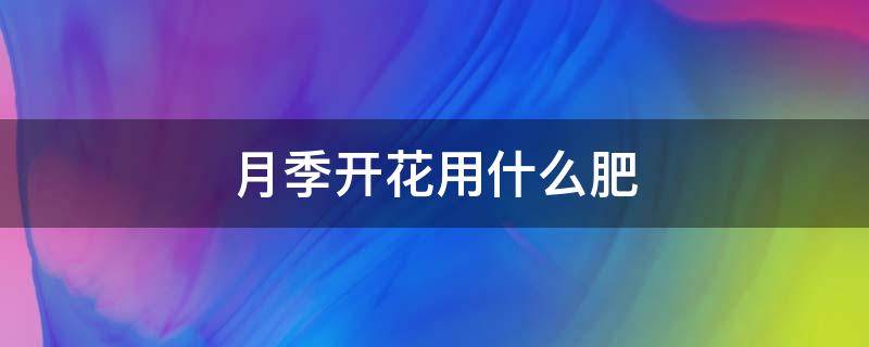 月季开花用什么肥 月季开花多用什么肥料