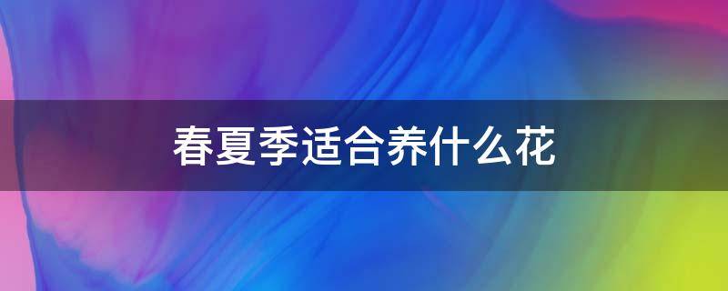 春夏季适合养什么花 春季夏季适合养什么花