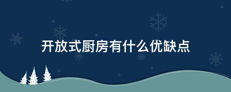 开放式厨房有什么优缺点 开放式厨房的利和弊