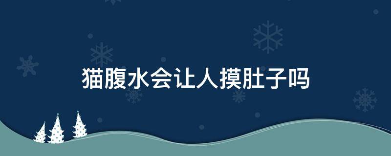 猫腹水会让人摸肚子吗 猫腹水会抗拒摸肚子吗