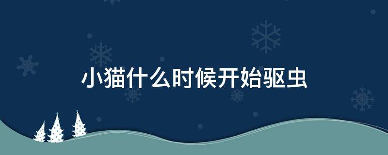 小猫什么时候开始驱虫（小猫什么时候开始驱虫打疫苗）