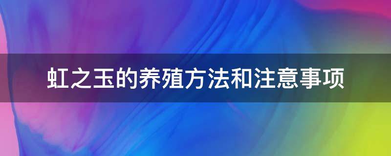 虹之玉的养殖方法和注意事项 虹之玉怎么养殖方法