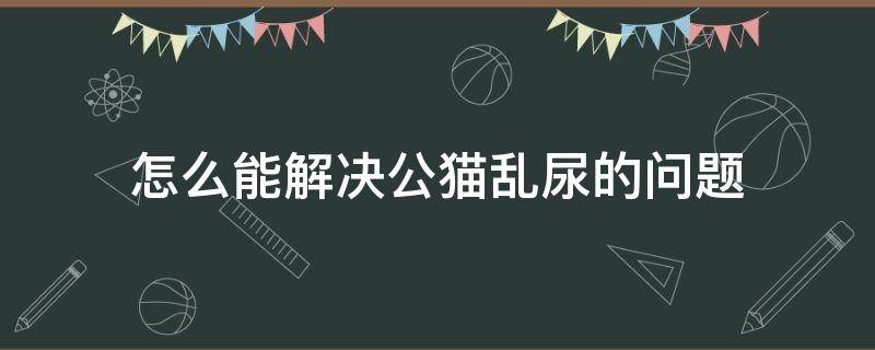 怎么能解决公猫乱尿的问题 如何阻止公猫乱尿