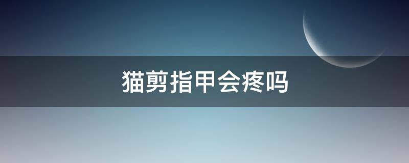 猫剪指甲会疼吗 给猫剪指甲猫会不会疼