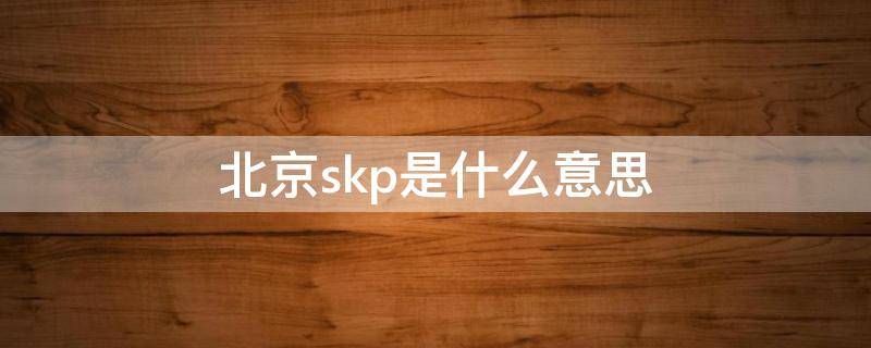 北京skp是什么意思 北京skp的全称