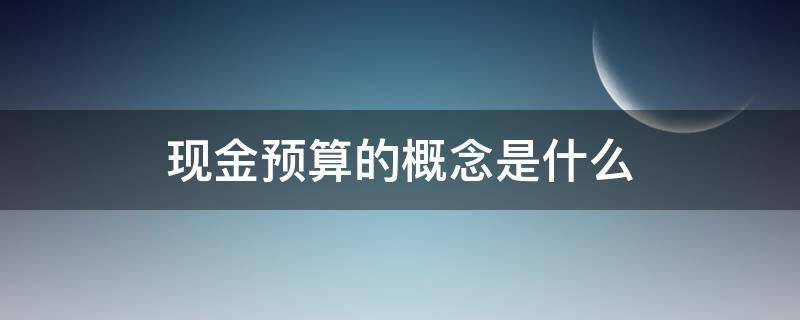 现金预算的概念是什么（现金预算是指什么）