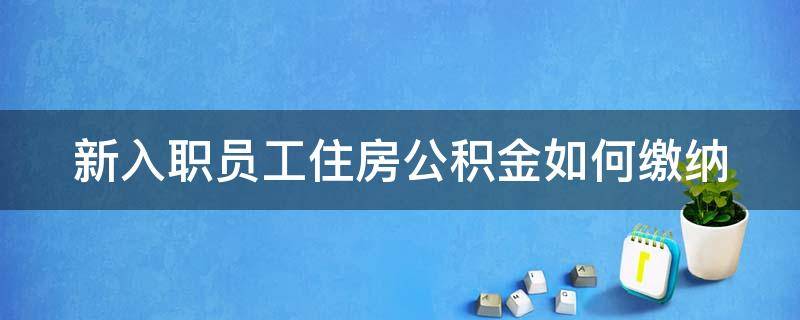 新入职员工住房公积金如何缴纳（新入职员工的住房公积金是按什么标准交的）