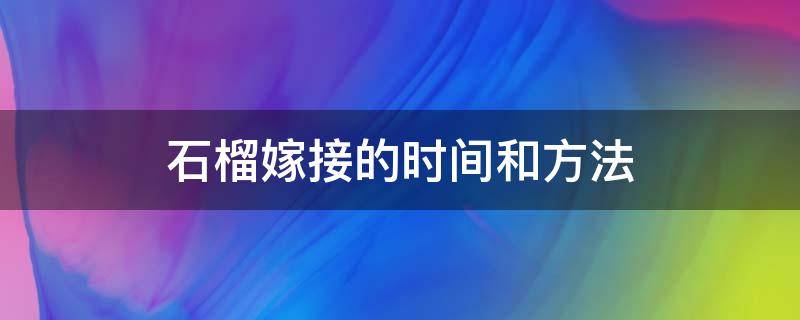 石榴嫁接的时间和方法（番石榴嫁接时间和方法）