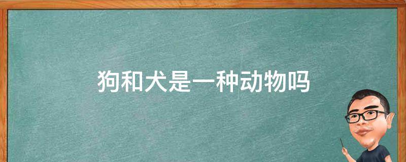 狗和犬是一种动物吗 狗是动物么