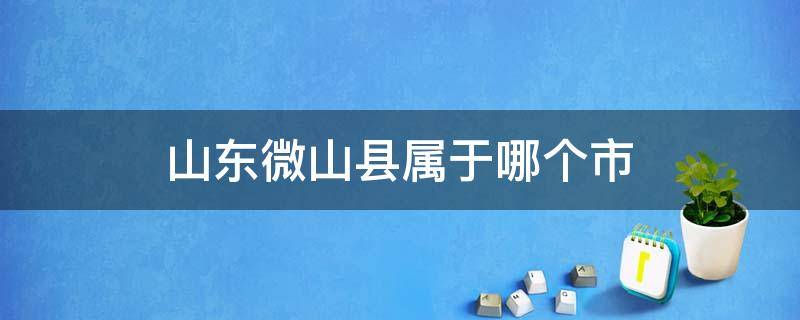 山东微山县属于哪个市 微山县属于哪个省市