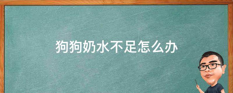 狗狗奶水不足怎么办 幼犬奶水不足怎么办