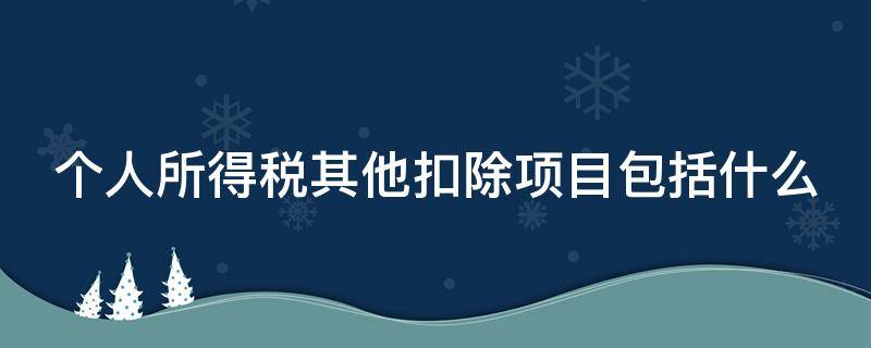 个人所得税其他扣除项目包括什么