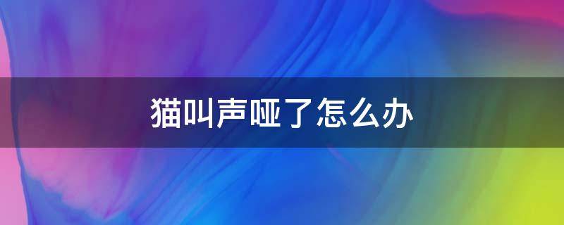 猫叫声哑了怎么办 猫叫声哑了是怎么回事